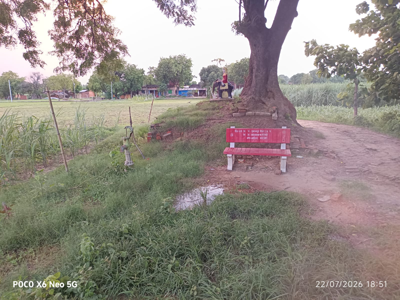 डीह बाबा स्थल पर झाड़ियां बनीं मुसीबत, श्रद्धालुओं और ग्रामीणों में सांप-बिच्छू का भय