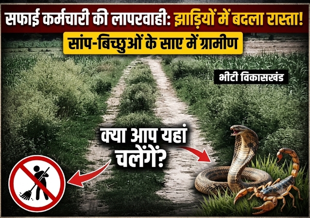 सफाई कर्मचारी की लापरवाही से झाड़ियों में तब्दील हुआ रास्ता, सांप-बिच्छुओं के साए में चलने को मजबूर ग्रामीण, जिम्मेदार मौन